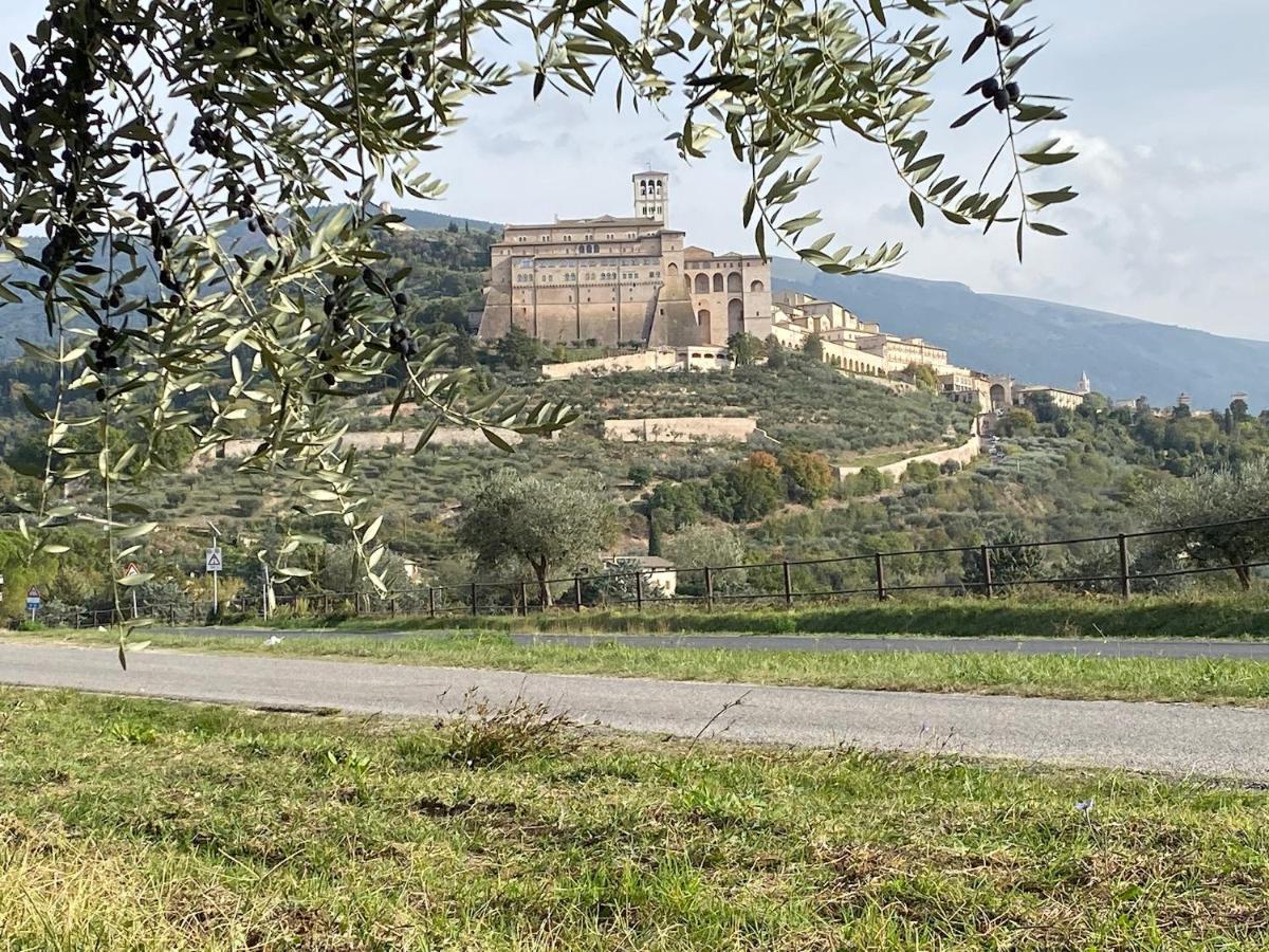 Agriturismo Il Girasole アッシジ エクステリア 写真