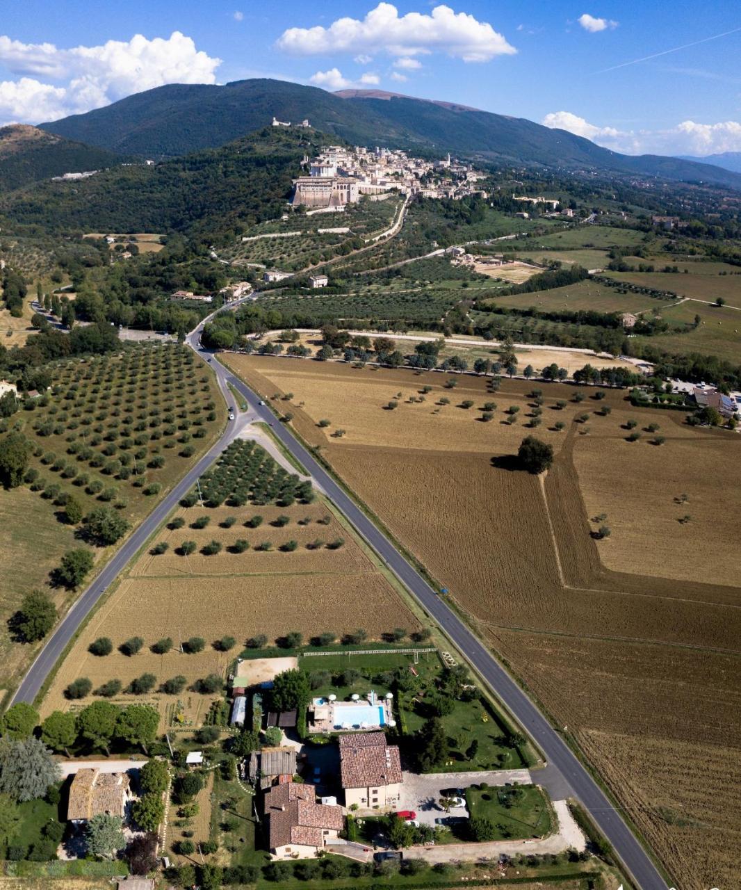 Agriturismo Il Girasole アッシジ エクステリア 写真