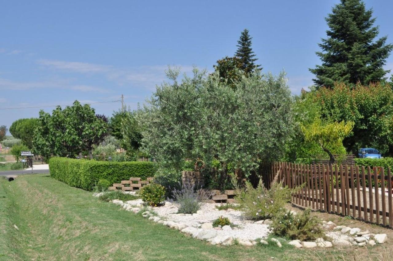 Agriturismo Il Girasole アッシジ エクステリア 写真